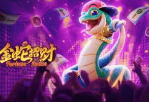 娱乐星空下载app正式版