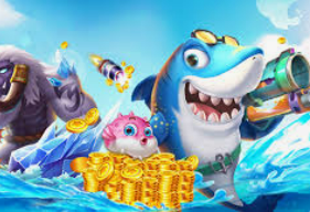 娱乐星空下载app正式版