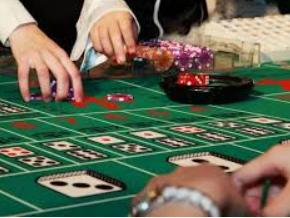 娱乐星空下载app2024最新版